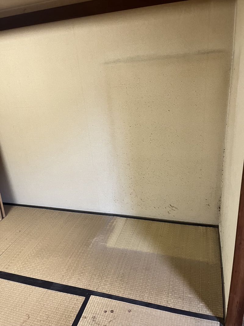 嵐山町の作業事例（アフター）