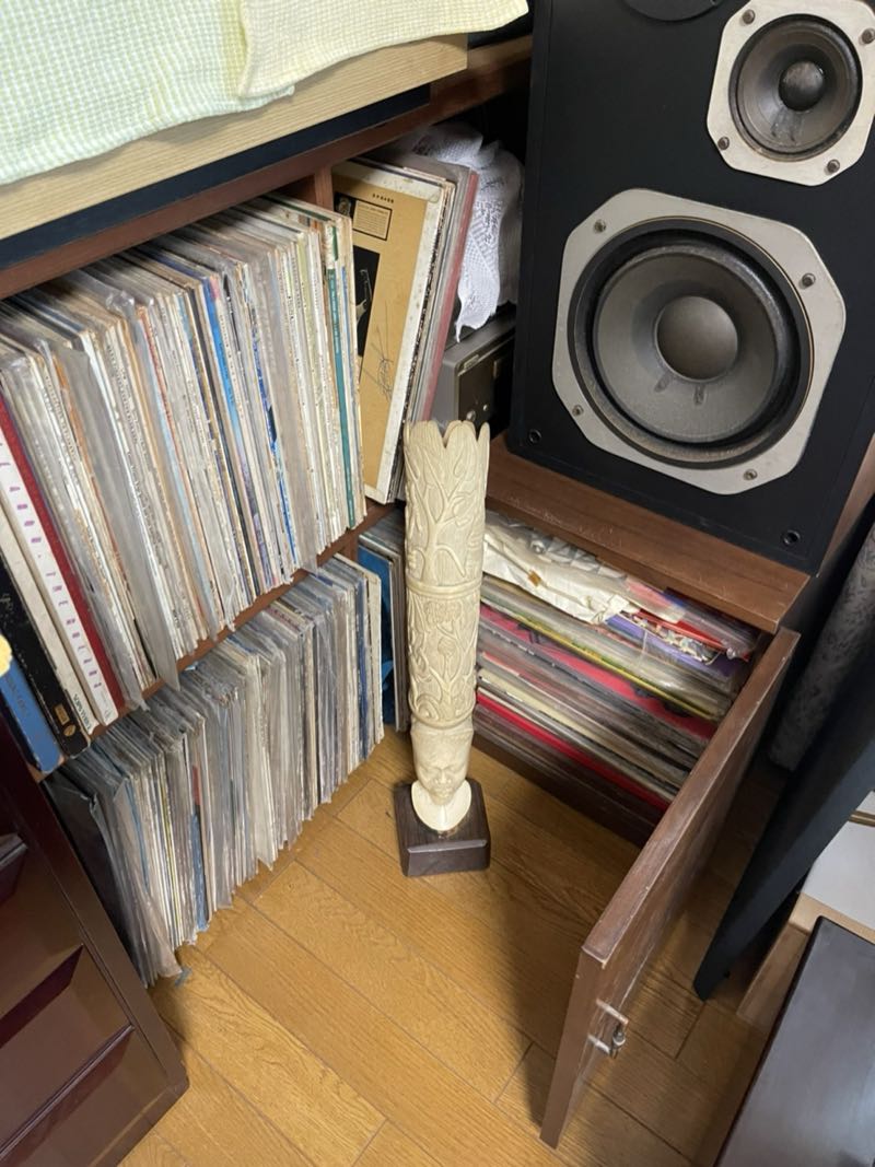 厚木市の作業事例（ビフォー）