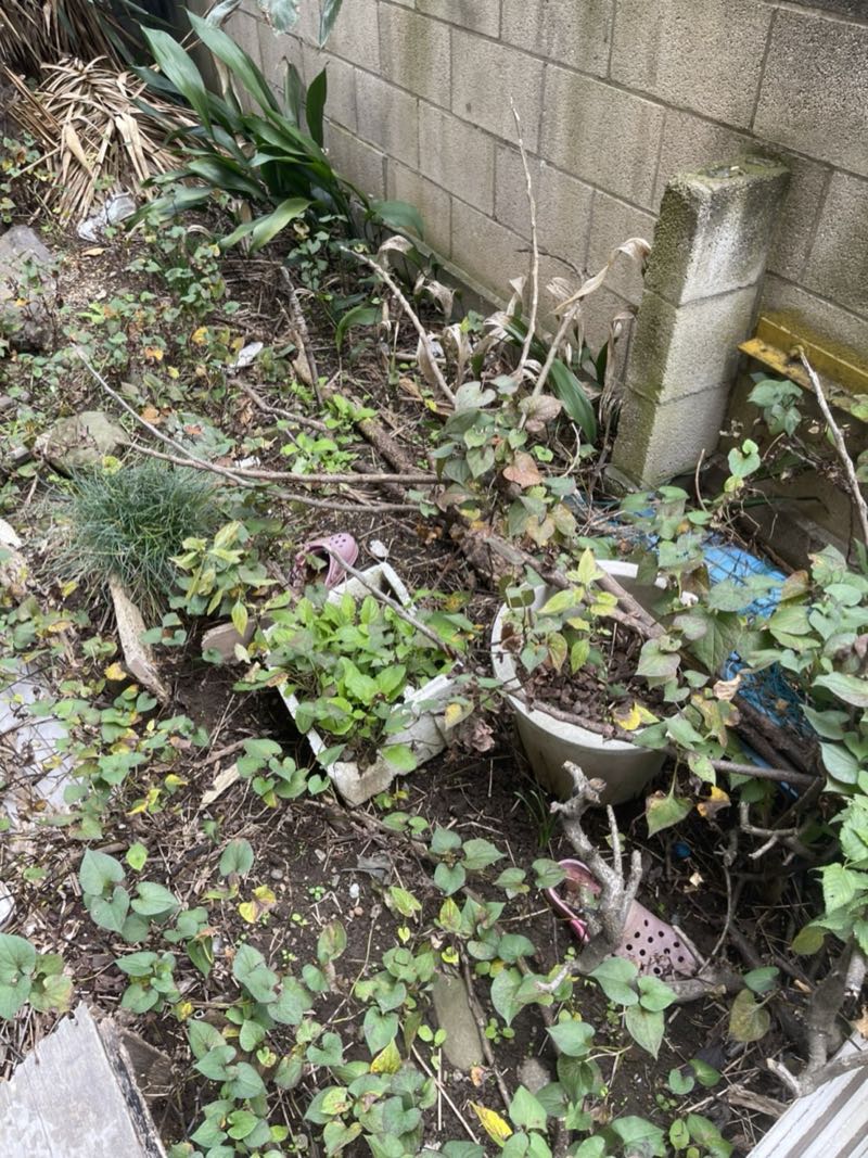 小平市の作業事例（ビフォー）
