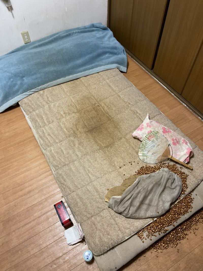 檜原村の作業事例（ビフォー）